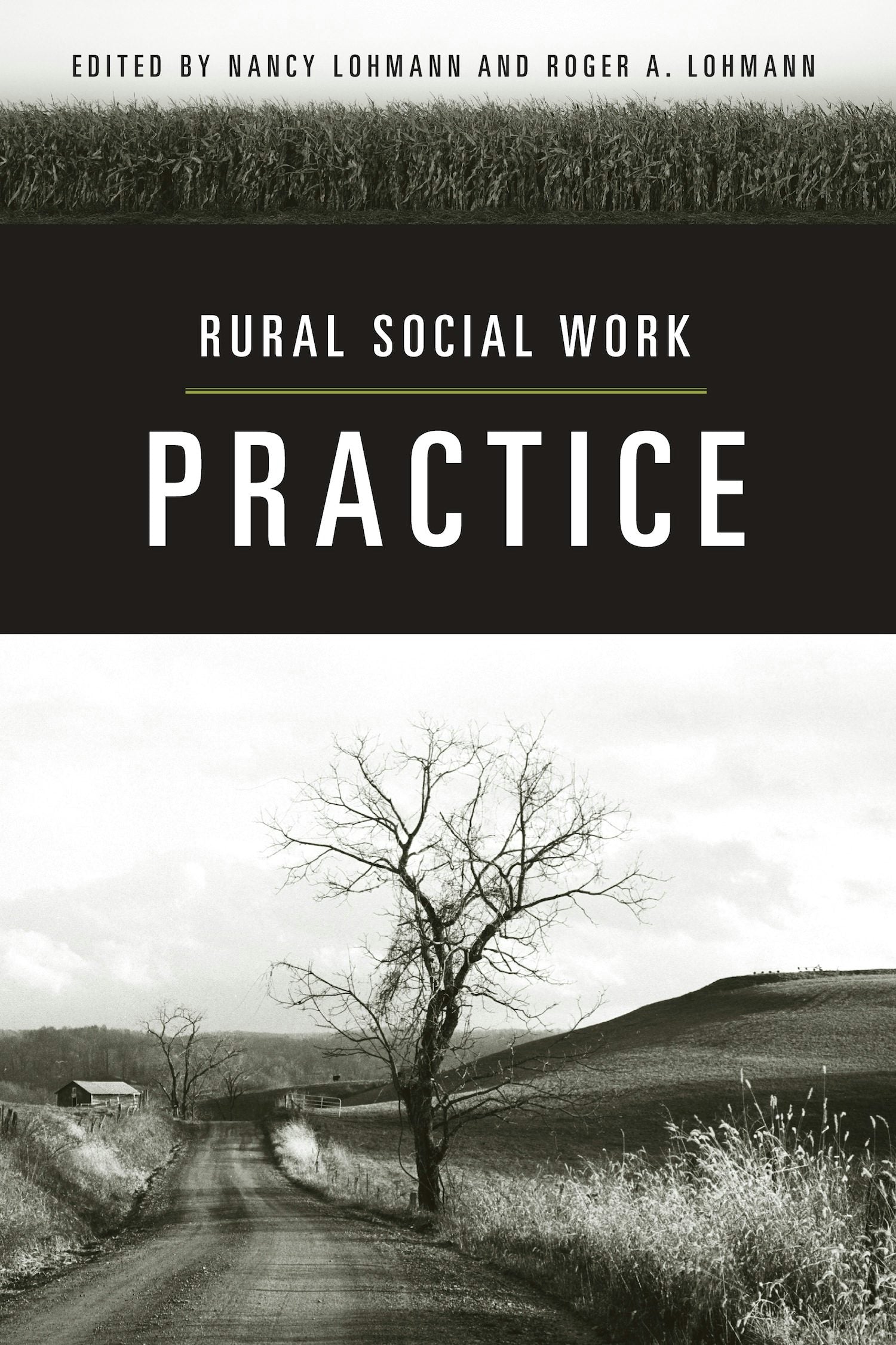 Book cover image for Rural Social Work Practice ISBN: 9780231129329